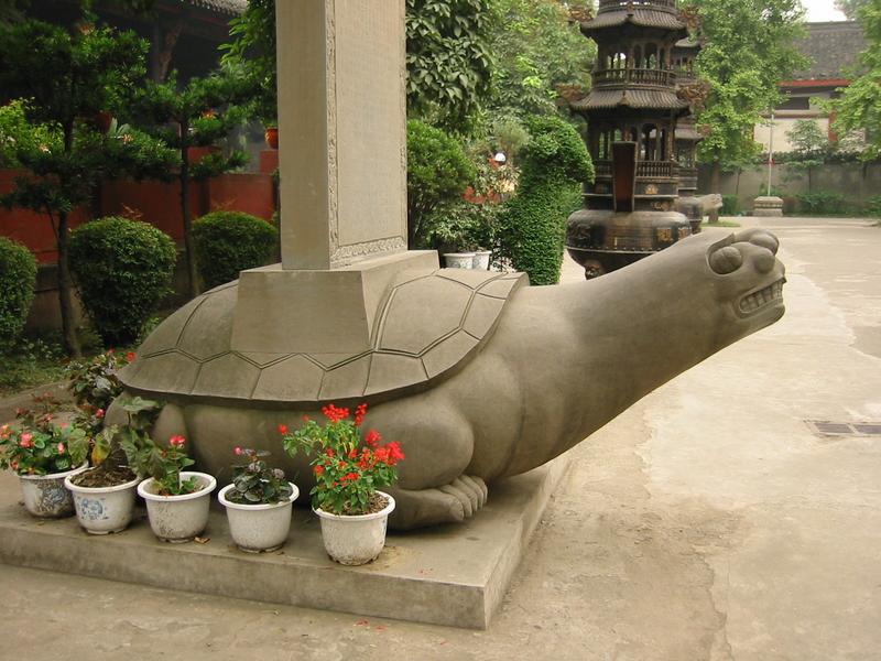 Turtle