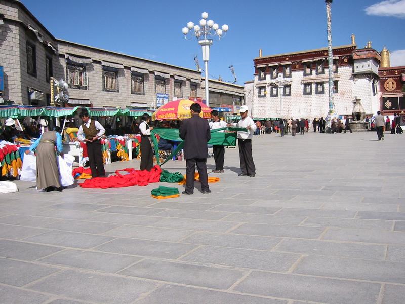 IMG 1231