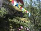 IMG 1278r