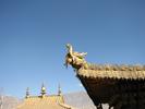 IMG 6308