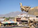 IMG 6319