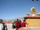 IMG 6327