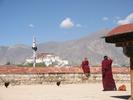 IMG 6331