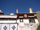 IMG 6338