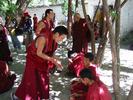 IMG 6339