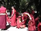 IMG 6346