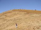 IMG 6371