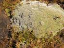 IMG 6378