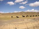 IMG 6494