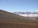 IMG 6537