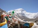 IMG 6559