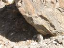 IMG 6575