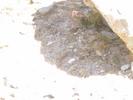 IMG 6576