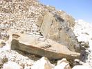 IMG 6578