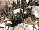 IMG 6580