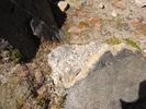 IMG 6583