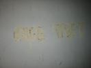 IMG 6607