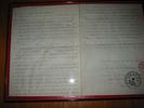 IMG 6659