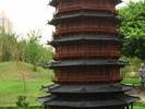 IMG 6702r