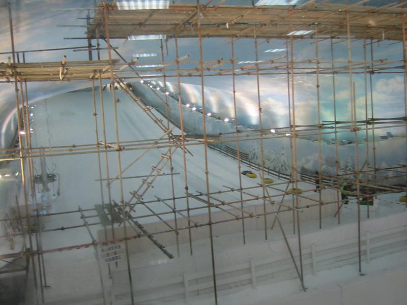 IMG 0951