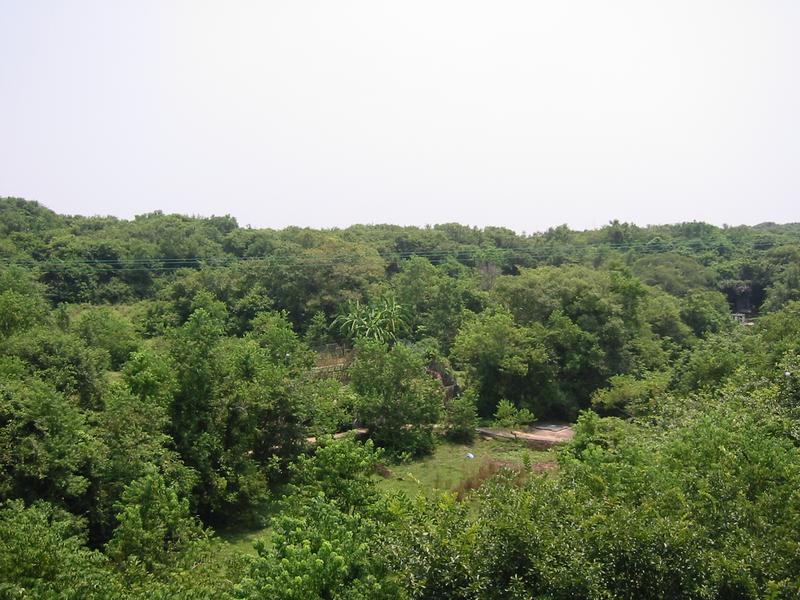IMG 0767