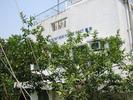 IMG 0775