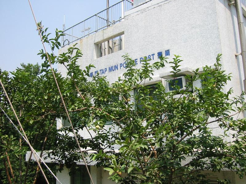 IMG 0775