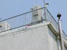 IMG 0777r