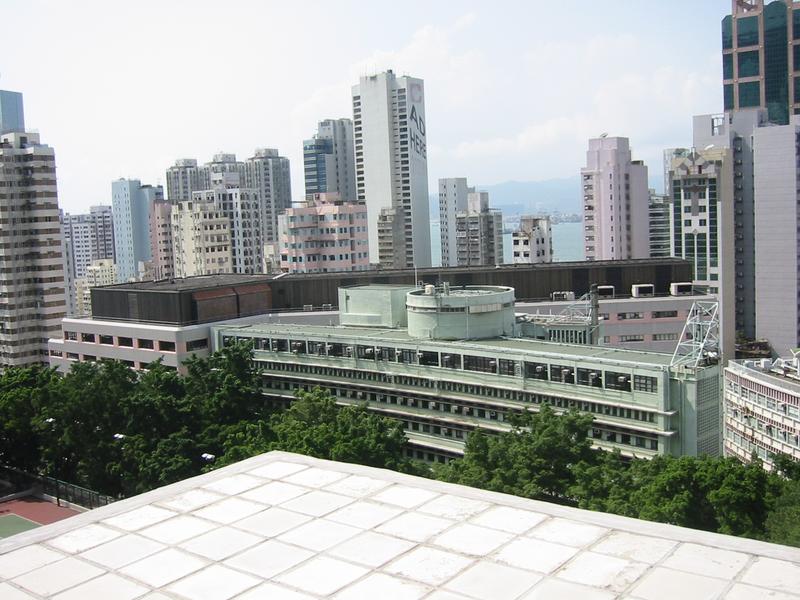 IMG 0695