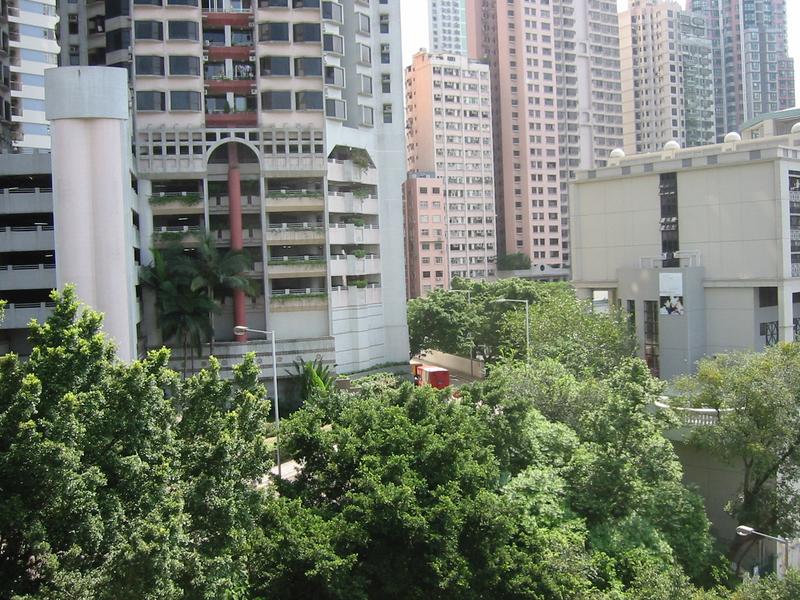 IMG 0704