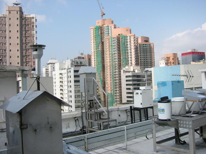 IMG 0719
