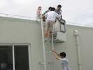 IMG 0965r