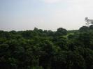 IMG 1058