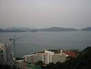 IMG 0790