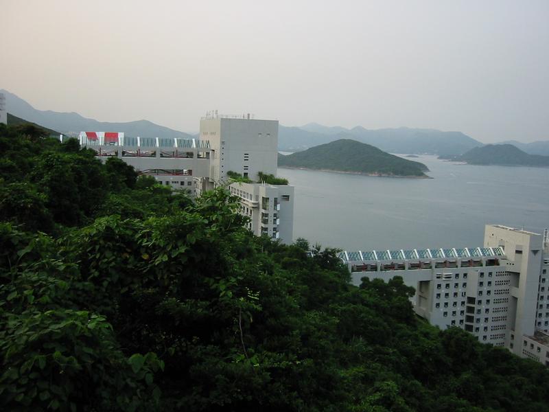 IMG 0794