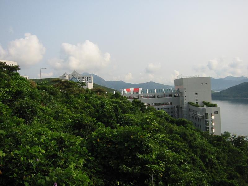 IMG 0795