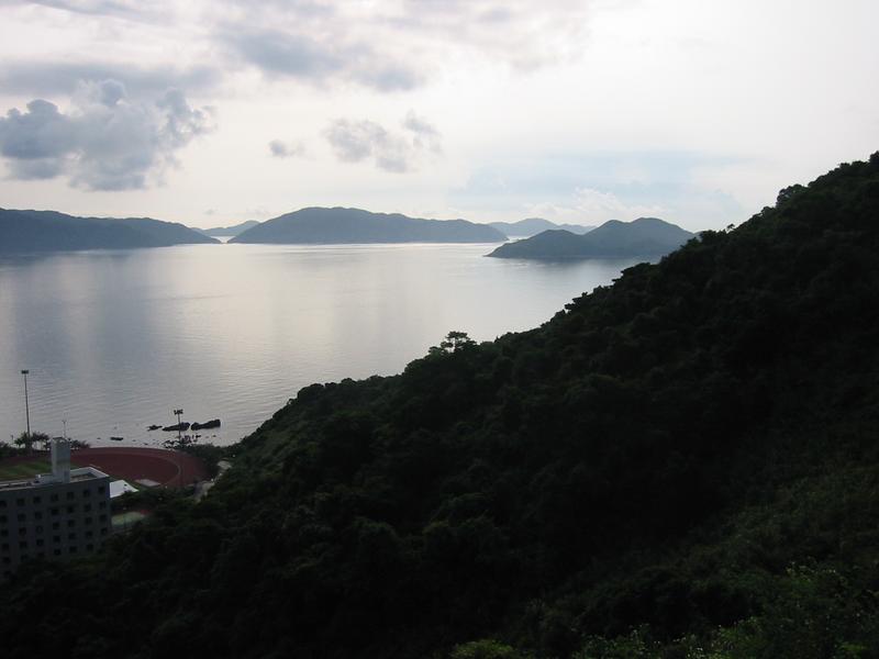 IMG 0799