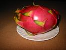 IMG 1099