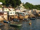 boats in the harbor