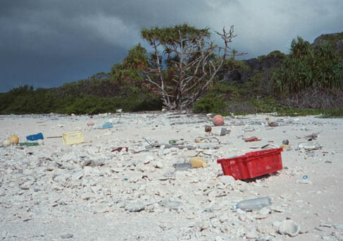 Αποτέλεσμα εικόνας για henderson island